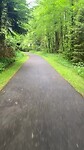 Rijden in het groen