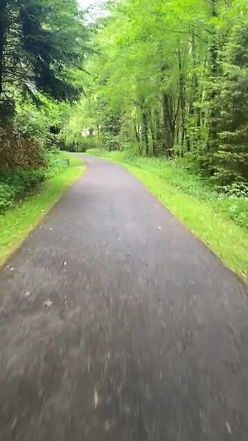 Rijden in het groen