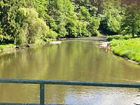 IMG_5302