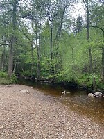 IMG_5144