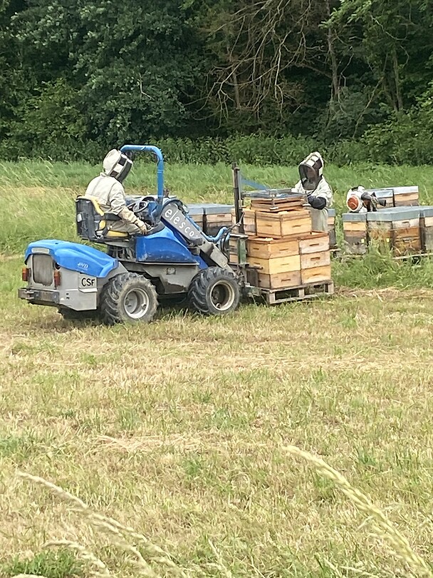 Imkers zijn de bijenkorven aan het leegmaken.