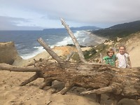 De ruige kust van Oregon