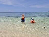 Daarna gaan snorkelen, enorm veel koraal en vissen hier!