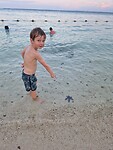 Op het strand nog een blauwe zeester gevonden