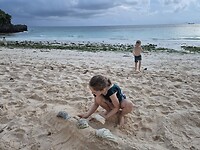 🐚🐚🐚
