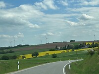 Koolzaadvelden