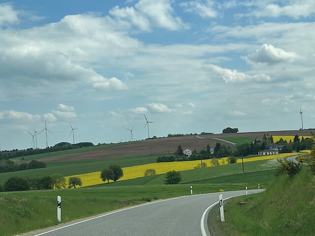 Koolzaadvelden