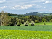 Landschap