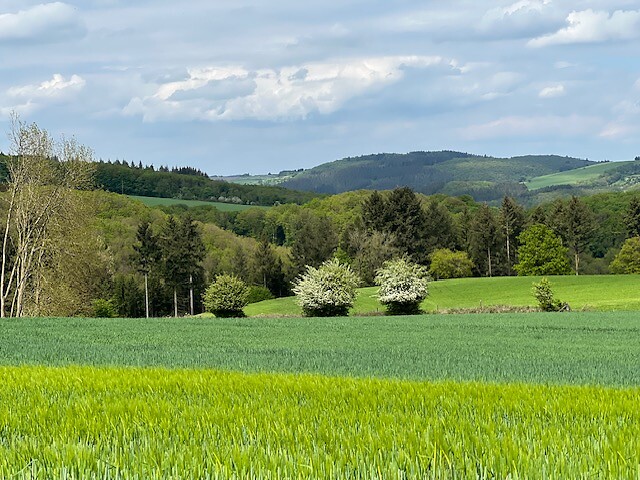 Landschap