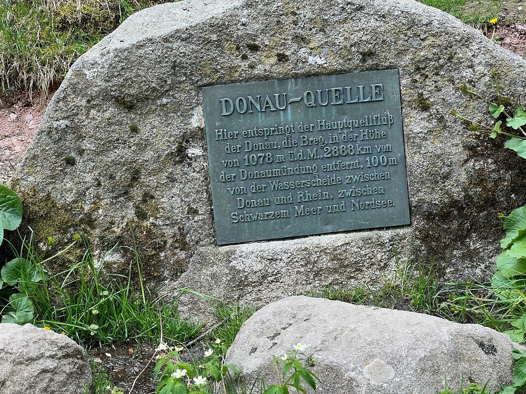 Donauquelle.