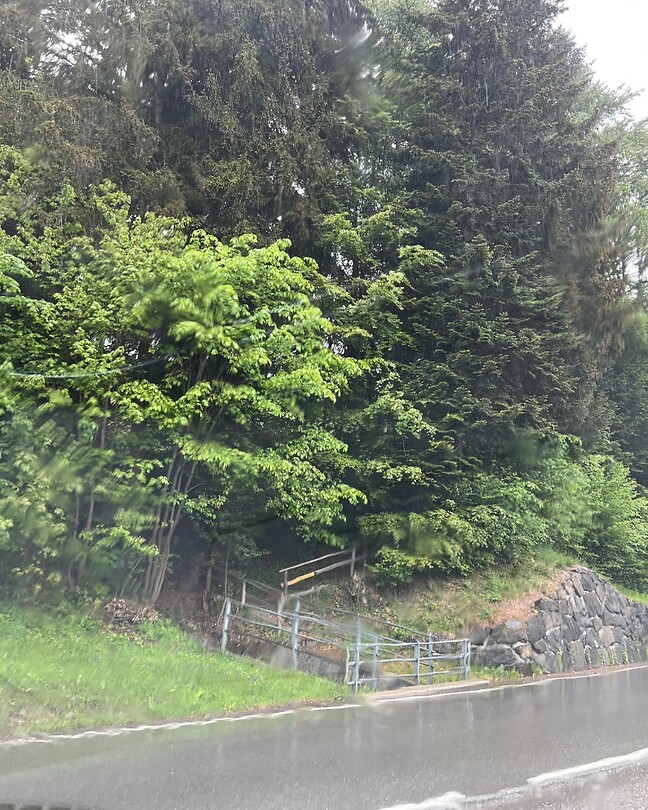 Het was nat onderweg.