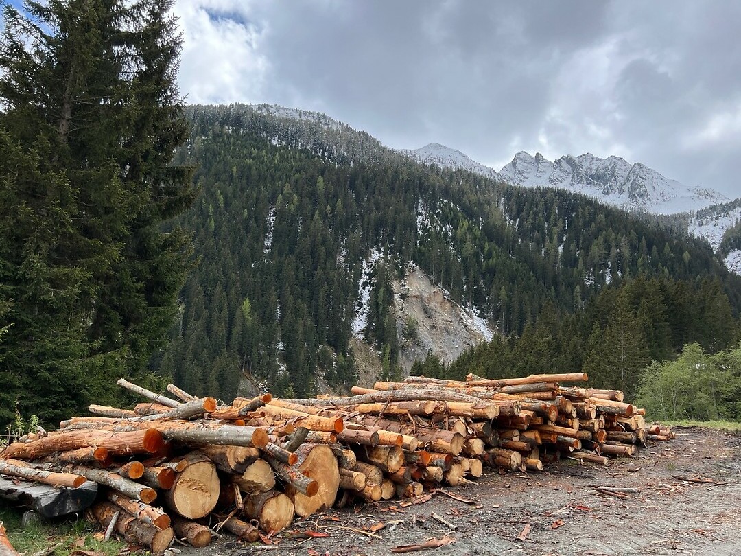 Overal ligt hier hout.