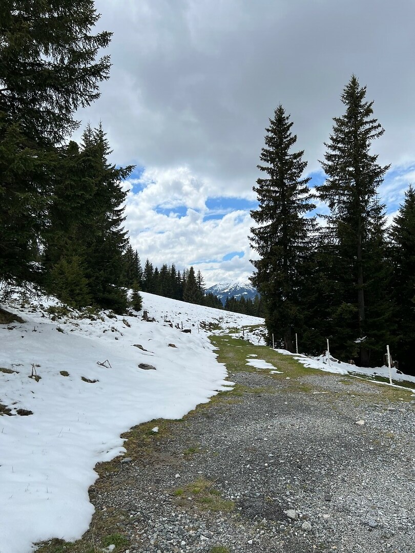 Sneeuw hoog in de bergen.