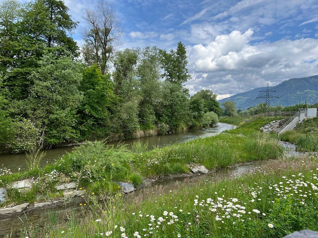 Fernbach.