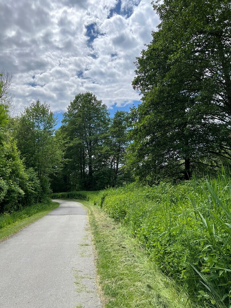 Fietspad Moosstrasse.