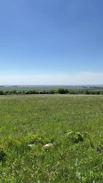 Het landschap.