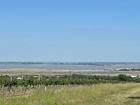 Uitzicht op de Neusiedler See.