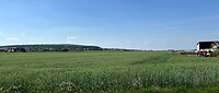 De omgeving.
