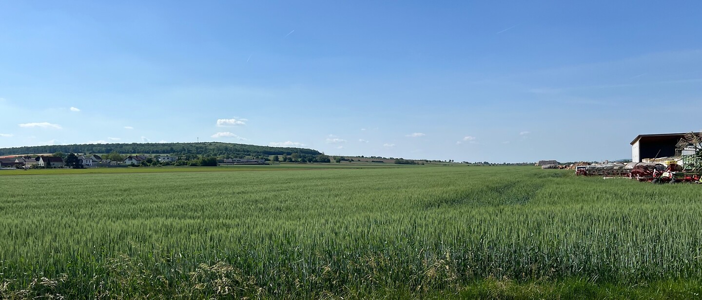 De omgeving.