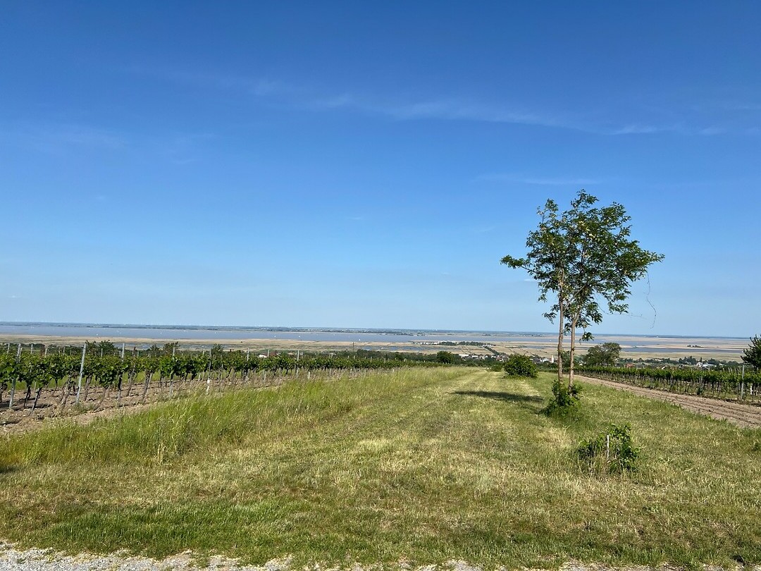 Uitzicht.