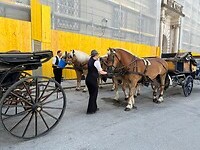 Paardenkoetsen.