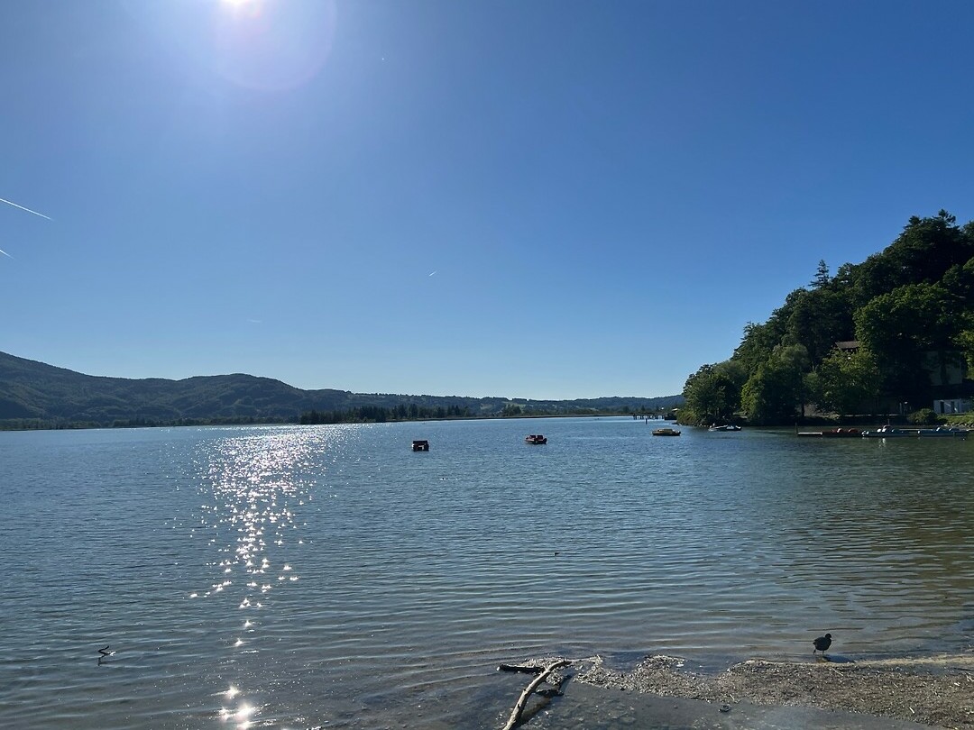 Kochelsee.
