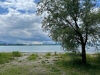 Bodensee.