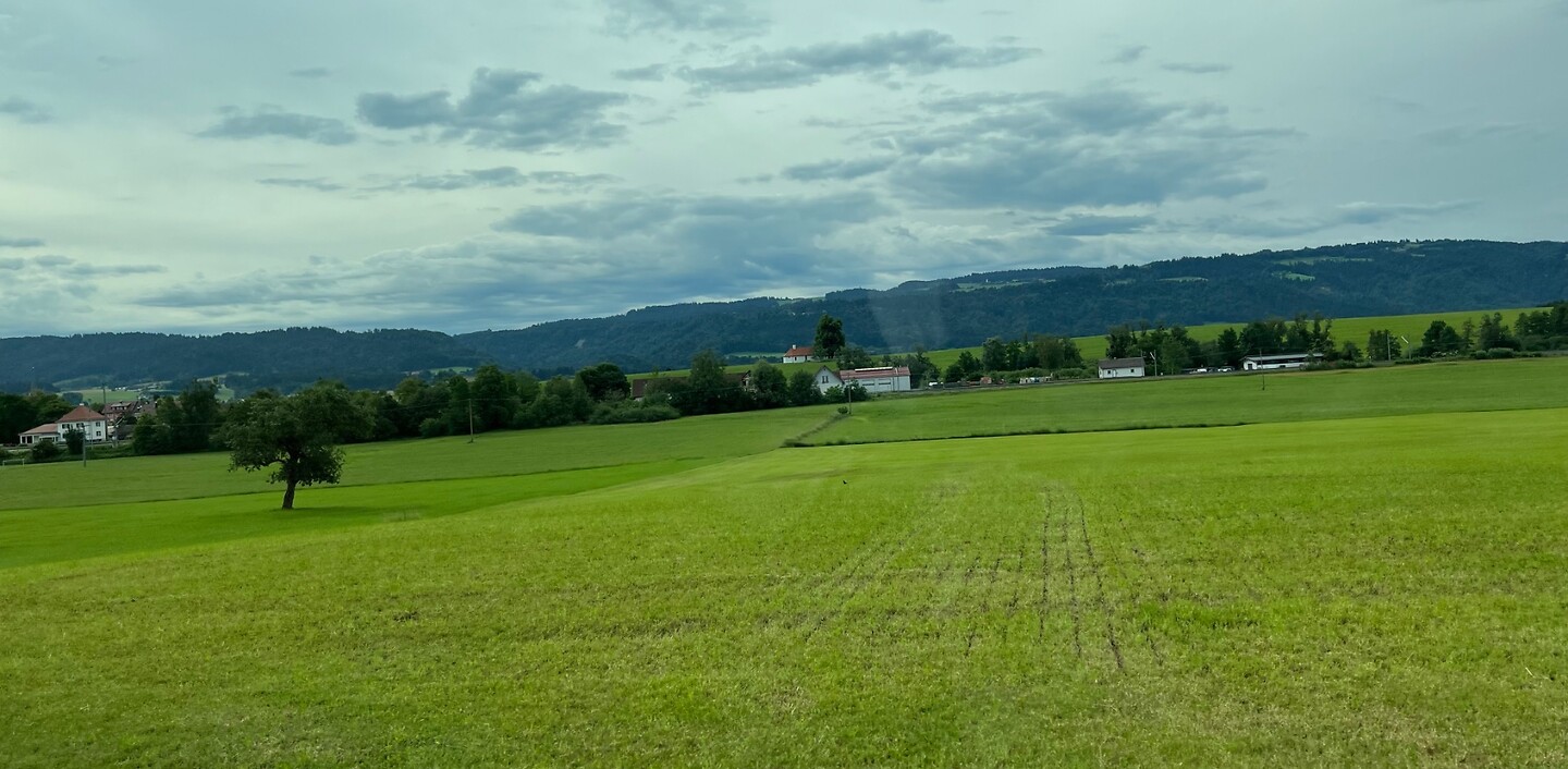 Uitzicht