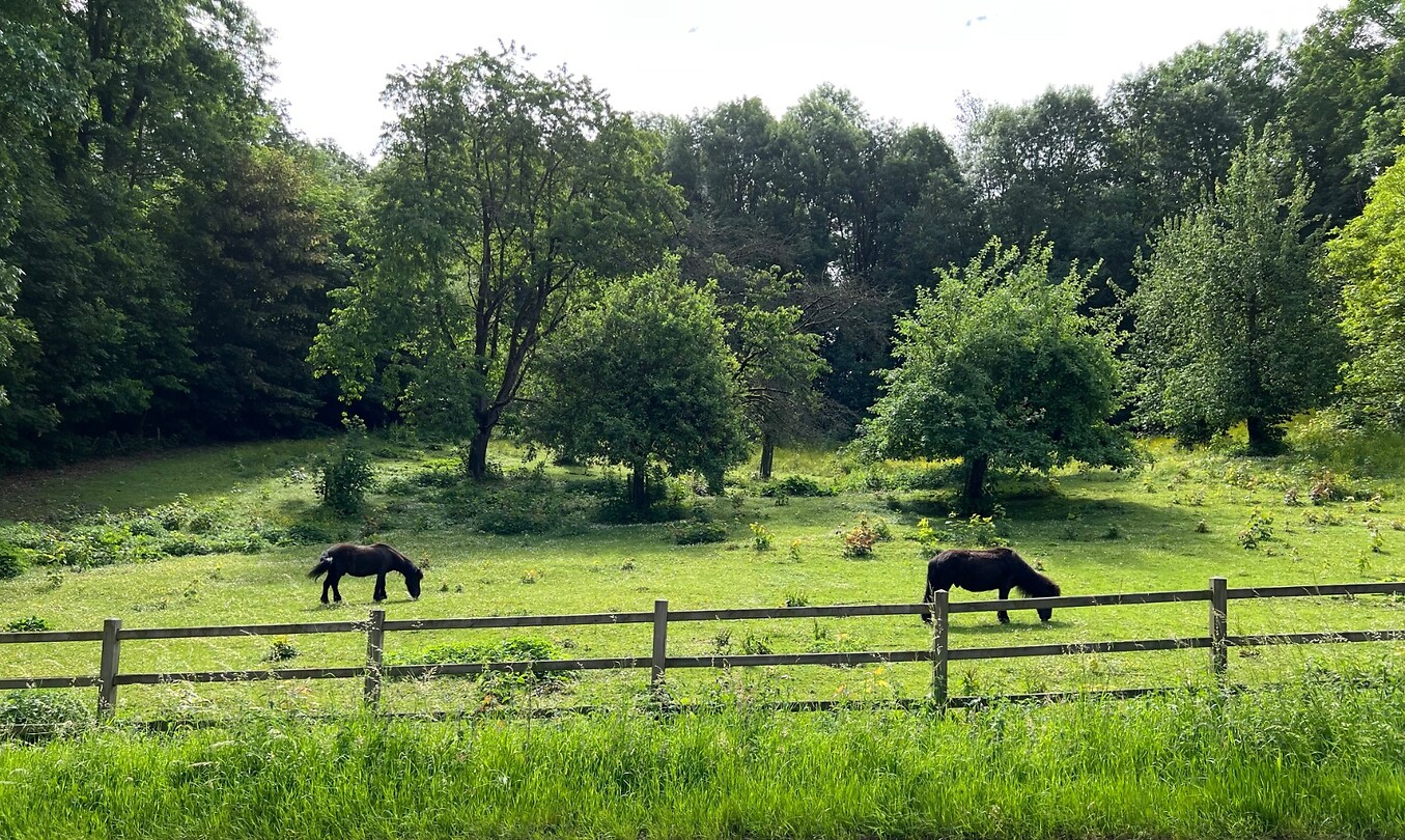 Omgeving.