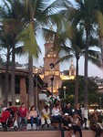 Church true the palm leaves