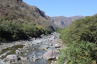 More Nature