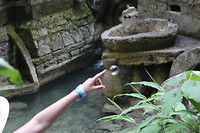 IMG_2290