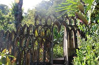 IMG_6655
