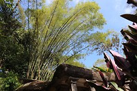 IMG_6656