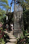 IMG_6668