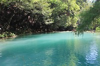 IMG_6683