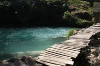 IMG_6684