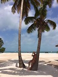 Caribbean dream