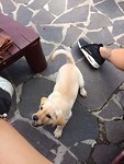 Made a new friend