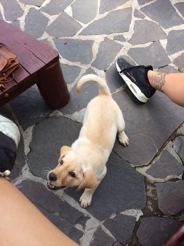 Made a new friend