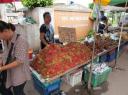IMG_0321-550