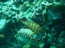 IMG_1867-550