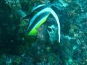 IMG_1882-550
