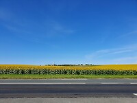 20210820_105659