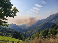 Auch hier Waldbrände :-(