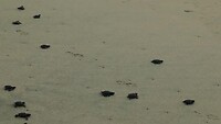 Auf die Plätze, fertig, los ...