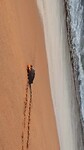Zurück ins Meer