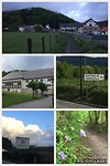 IMG_2258