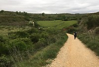 IMG_2336
