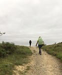 IMG_2334